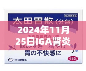 2024年最新IGA肾炎药物使用指南，全面解析新药及用药步骤，助你科学治疗肾炎！