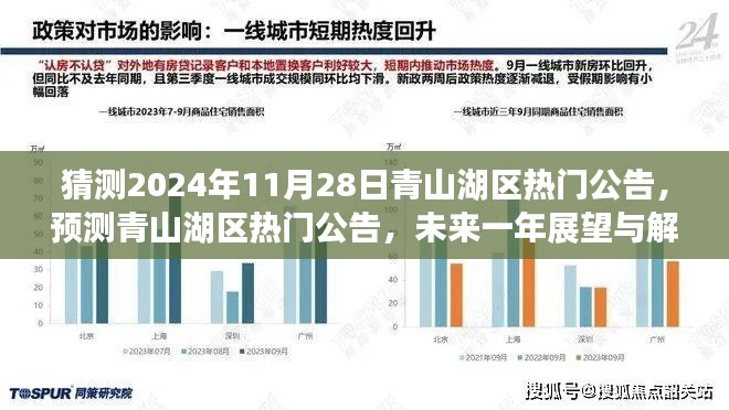 青山湖区未来一年热门公告展望与解读，预测青山湖区发展动态（2024年11月版）