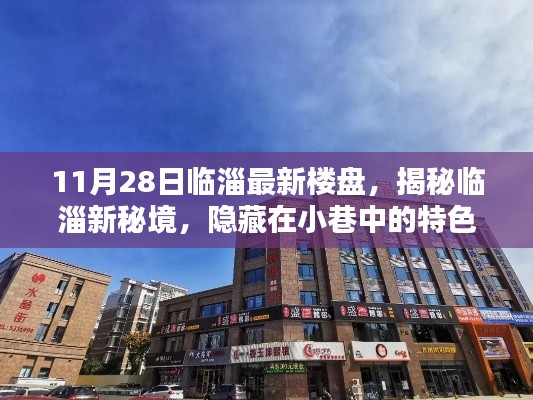 揭秘临淄新秘境，特色小店与最新楼盘的惊喜邂逅（11月28日临淄最新楼盘资讯）