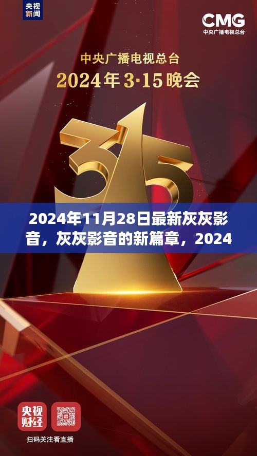 灰灰影音新篇章，观察与思考，2024年11月28日最新动态