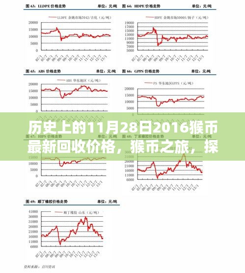 猴币回收价格揭秘，探索历史之旅与自然美景的宁静寻觅之路