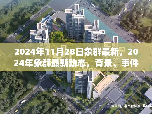 深度解析，2024年象群最新动态及其背景事件影响