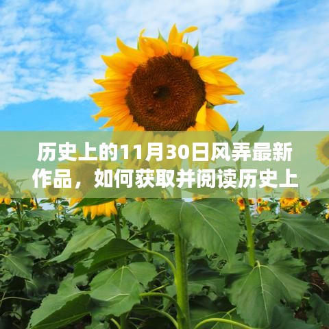 历史上的11月30日风弄最新作品获取与阅读指南——初学者与进阶用户必读