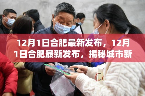 揭秘合肥最新动态，城市发展的前沿洞察 12月1日最新报道