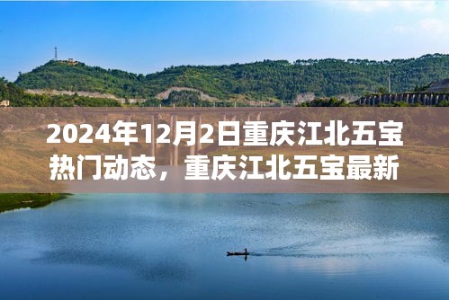 2024年12月2日重庆江北五宝最新动态及观点探析