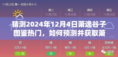 揭秘萧逸谷子图鉴热门预测与获取攻略——2024年12月4日指南