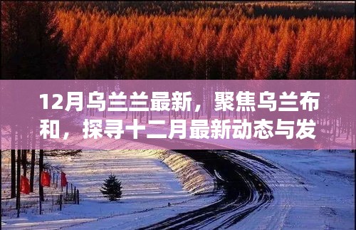 聚焦乌兰布和，探寻十二月最新动态与发展成果速递