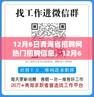 12月6日青海省招聘网热门招聘信息详解与求职全攻略