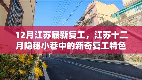 江苏十二月隐秘小巷中的新奇复工小店探索