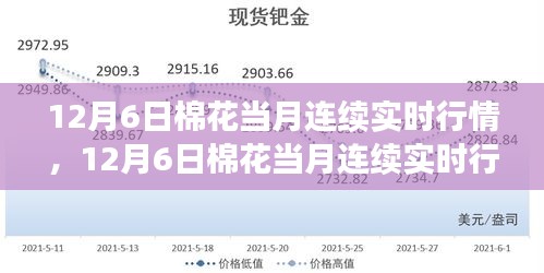 12月6日棉花实时行情深度解析，市场走势与多方观点探讨