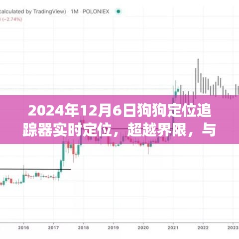 狗狗定位追踪器的启示与励志之旅，超越界限，实时定位的未来展望（2024年12月6日）