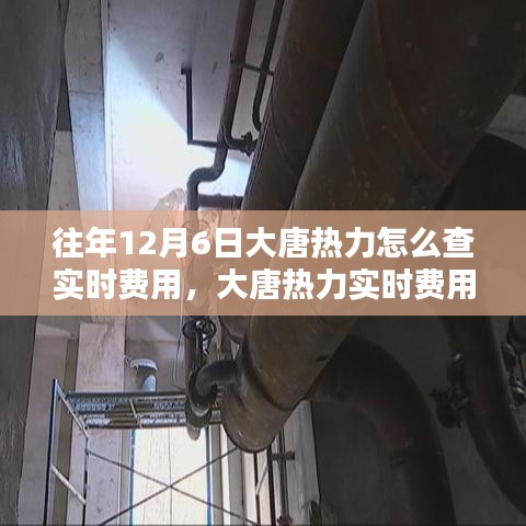 大唐热力实时费用查询系统，往年12月6日的查询体验与影响分析