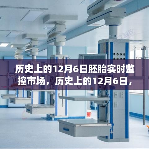 历史上的12月6日，胚胎实时监控市场的深度探索与全面解析回顾