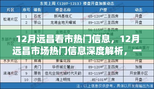 12月远昌市场热门信息解析，掌握趋势分析与应对策略