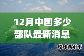 揭秘十二月中国尖端军事科技力量，最新部队高科技深度解析与体验报告发布，军事犯罪问题备受关注