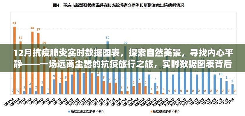 12月抗疫肺炎实时数据图表，探寻自然美景与内心平静的抗疫旅行之旅