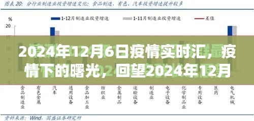 疫情下的曙光，2024年12月6日疫情实时汇报