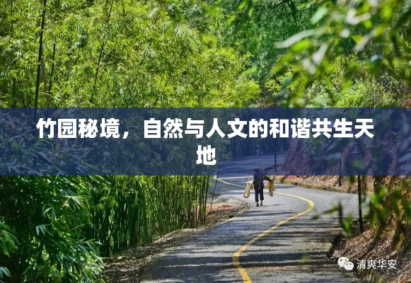 半截鸟木 第2页