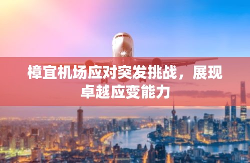 樟宜机场应对突发挑战，展现卓越应变能力
