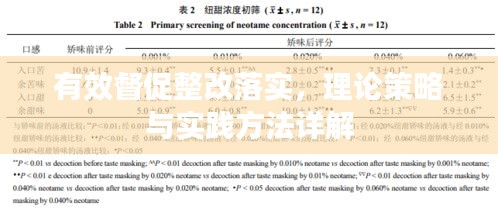 有效督促整改落实，理论策略与实践方法详解