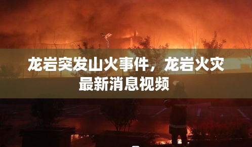 龙岩突发山火事件，龙岩火灾最新消息视频 