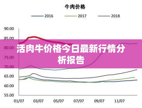 活肉牛价格今日最新行情分析报告