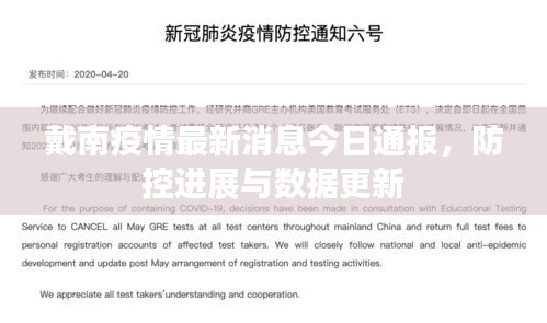 戴南疫情最新消息今日通报，防控进展与数据更新