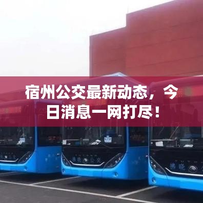 宿州公交最新动态，今日消息一网打尽！