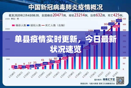 单县疫情实时更新，今日最新状况速览