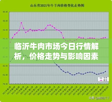 临沂牛肉市场今日行情解析，价格走势与影响因素全掌握