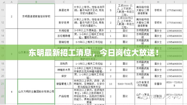 东明最新招工消息，今日岗位大放送！