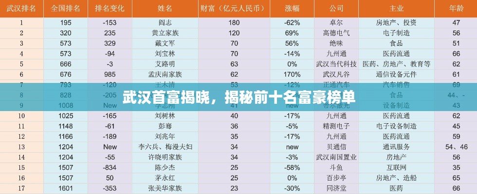 武汉首富揭晓，揭秘前十名富豪榜单