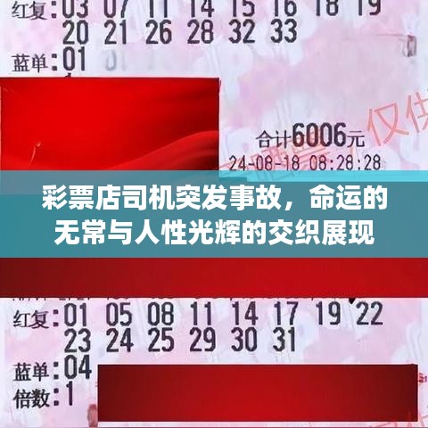 彩票店司机突发事故，命运的无常与人性光辉的交织展现