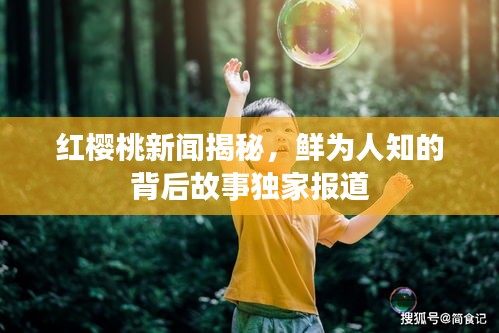 红樱桃新闻揭秘，鲜为人知的背后故事独家报道