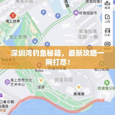 深圳湾钓鱼秘籍，最新攻略一网打尽！