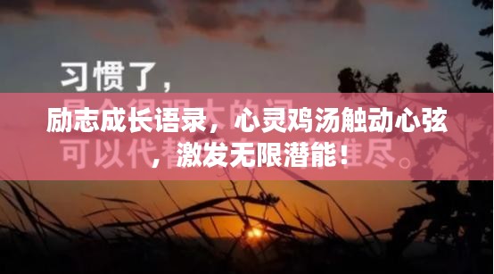 励志成长语录，心灵鸡汤触动心弦，激发无限潜能！