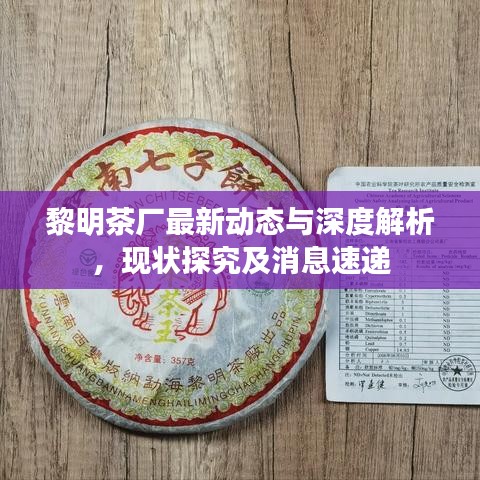 黎明茶厂最新动态与深度解析，现状探究及消息速递