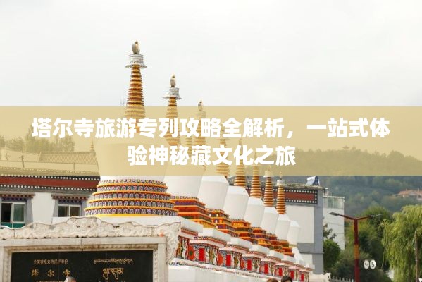 塔尔寺旅游专列攻略全解析，一站式体验神秘藏文化之旅