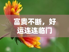 富贵不断，好运连连临门