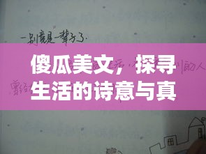 傻瓜美文，探寻生活的诗意与真挚情感