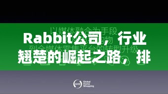 Rabbit公司，行业翘楚的崛起之路，排名引领风潮！