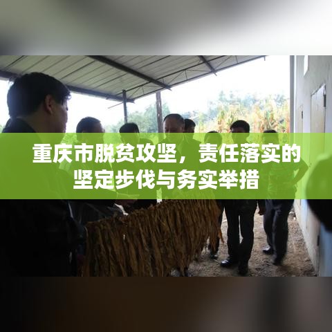 重庆市脱贫攻坚，责任落实的坚定步伐与务实举措