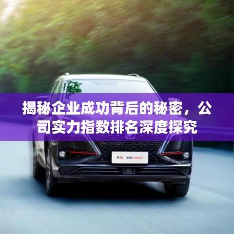 揭秘企业成功背后的秘密，公司实力指数排名深度探究