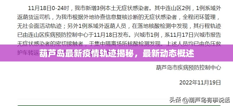 葫芦岛最新疫情轨迹揭秘，最新动态概述