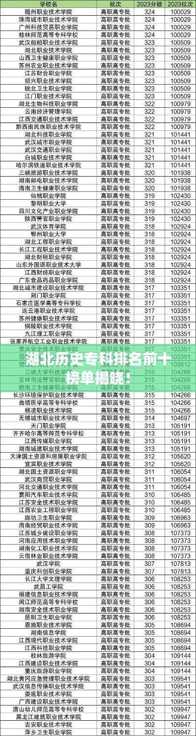 湖北历史专科排名前十榜单揭晓！