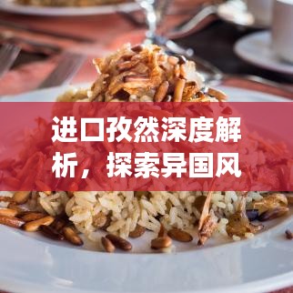 进口孜然深度解析，探索异国风味之旅