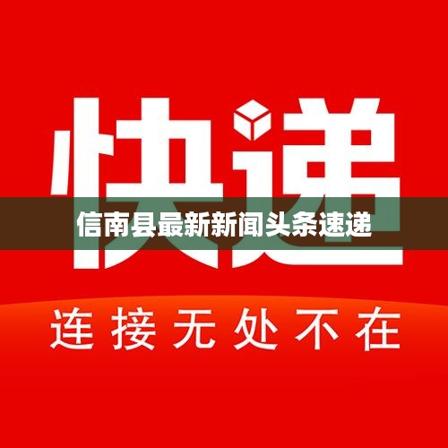 信南县最新新闻头条速递