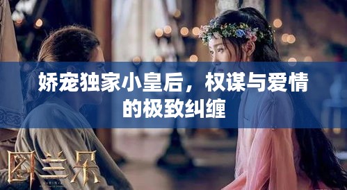 娇宠独家小皇后，权谋与爱情的极致纠缠