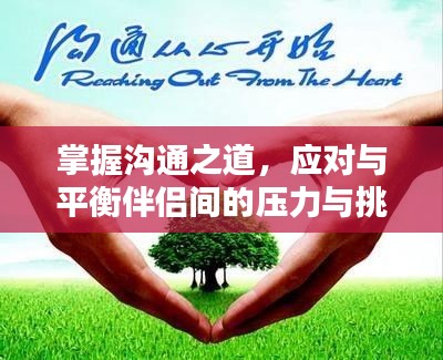 一次性餐包 第17页