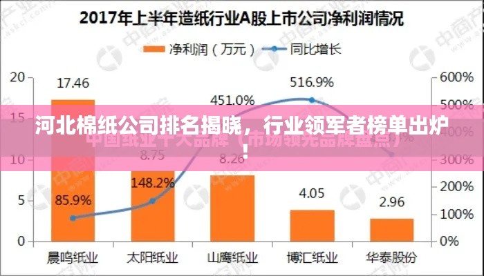 河北棉纸公司排名揭晓，行业领军者榜单出炉！